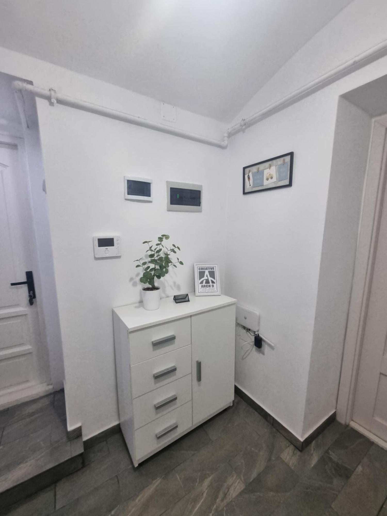 Appartamento Creative Timisoara